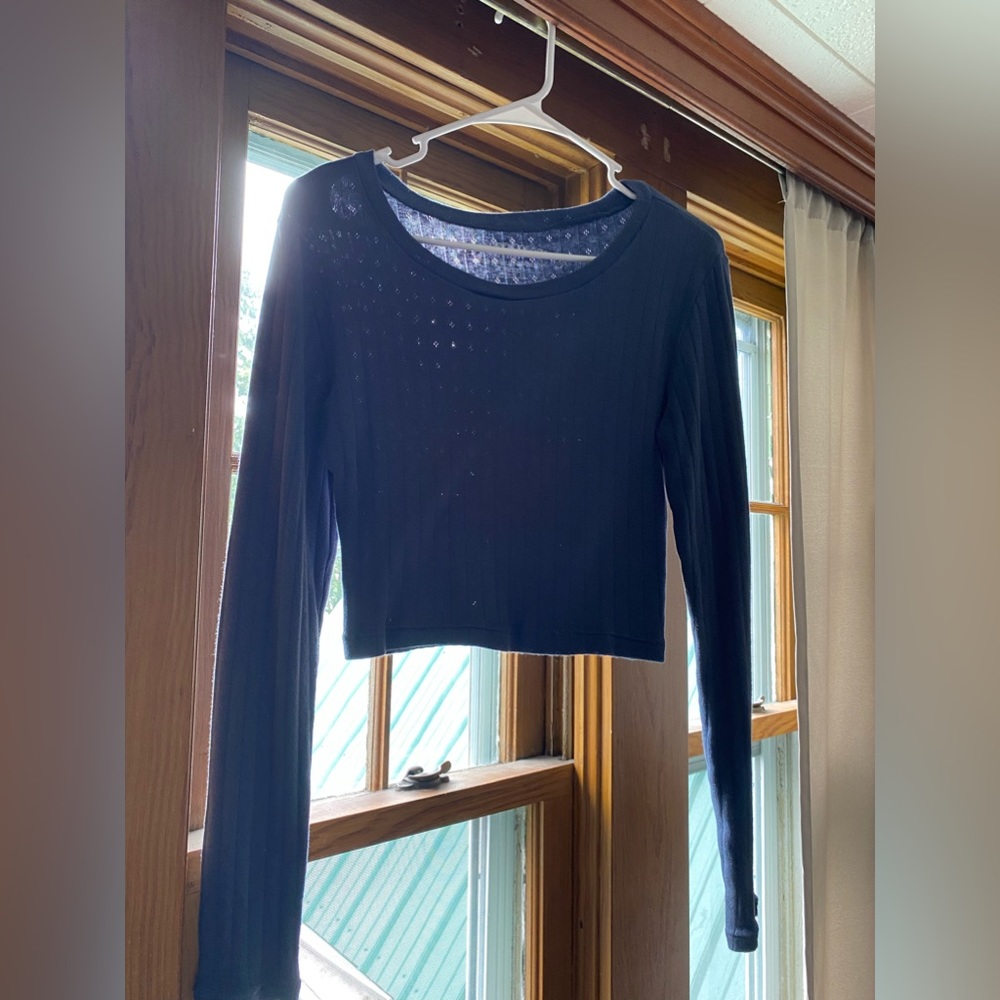 Aeropostale long sleeve crop top